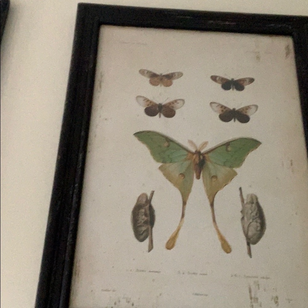 Meet your Posher, Valerie